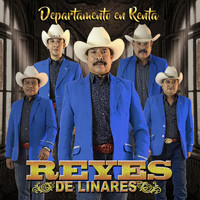 Reyes de Linares - Departamento en Renta