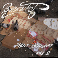 Bolværket - Pænt Smasket Vol.2