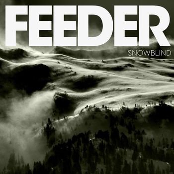 Feeder - Snowblind
