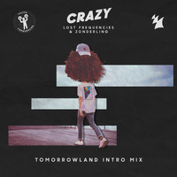 Lost Frequencies & Zonderling - Crazy (Tomorrowland Intro Mix)