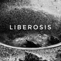 Club of Suns - Liberosis