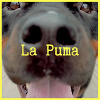 Yola - La Puma