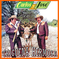 Carlos Y José - Trigueña Hermosa