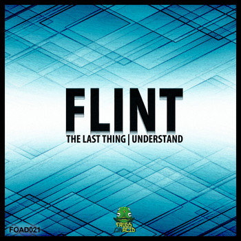 Flint - The Last Thing