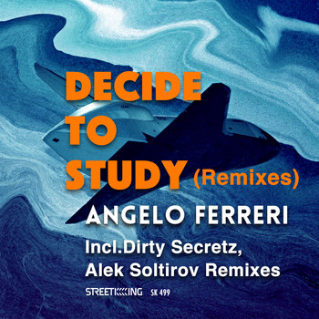 Angelo Ferreri - Decide To Study (Remixes)