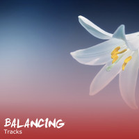 Spa, Spa Music Paradise, Spa Relaxation - #20 Balancing Tracks for Spa & Relaxation