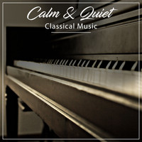 Piano Relax, Ambient Piano, Background Piano Music - #10 Calm & Quiet Classical Music