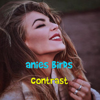 Anies Birds - Contrast