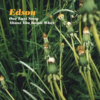 EDSON - One Last Song About You Know What