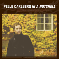 Pelle Carlberg - In a Nutshell