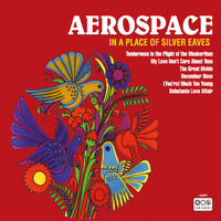 Aerospace - In a Place of Silver Eaves