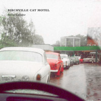 Birchville Cat Motel - Driving Bruce Russells Volvo