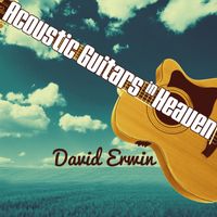 David Erwin - Acoustic Guitars in Heaven