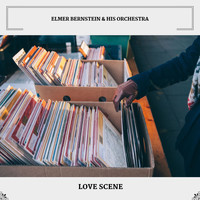Elmer Bernstein & His Orchestra - Love Scene