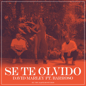 David Marley & Barroso - Se Te Olvido