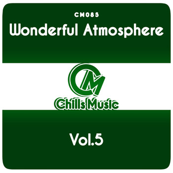 Various Artists - Wonderful Atmosphere Vol.5