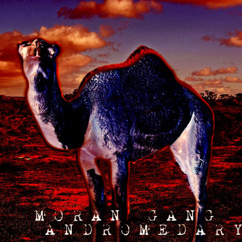 Moran Gang - Andromedary
