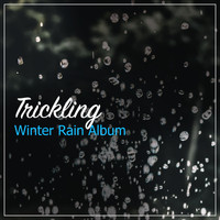 Sleep Sounds of Nature, Nature Sounds, Rain for Deep Sleep - #21 Trickling Winter Rain Album for Natural Sleep Aid