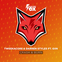 Tweekacore, Darren Styles and Giin - Crash & Burn