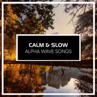 Binaural Beats Experience, Binaural Beat Therapy, Binaural Beats Meditation - #19 Calm & Slow Alpha Wave Songs