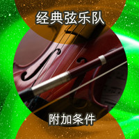 The Classic String Orchestra - 附加条件