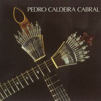 Pedro Caldeira Cabral - Pedro Caldeira Cabral