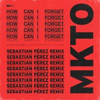 MKTO - How Can I Forget (Sebastian Perez Remix)