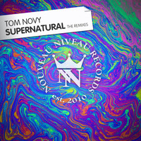 Tom Novy & Piddy Green feat. Amadeas - Supernatural