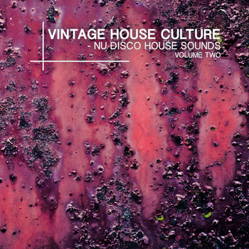 Various Artists - Vintage House Culture, Vol. 2 - Nu Disco House Sounds (Explicit)