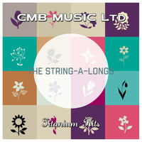 The String-A-Longs - Titanium Hits