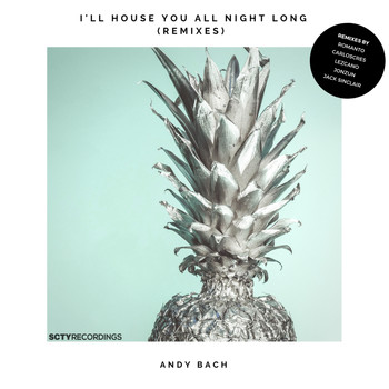 Andy Bach - I'll House You All Night Long (Remixes)