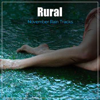 Echoes of Nature, Soothing Nature Sounds, Rainforest Sounds - #21 Rural November Rain Tracks