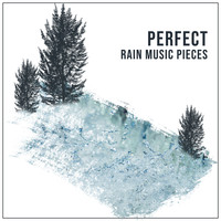 Nature Sounds, Rain Sounds Nature Collection, Nature Sounds Nature Music - #16 Perfect Rain Music Pieces from Nature