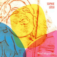 Sophie Lüssi - Bird Migration