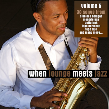 Various Artists - When Lounge Meets Jazz Vol. 5