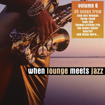 Various Artists - When Lounge Meets Jazz Vol. 6