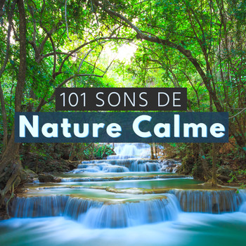 101 Sons de Nature Calme - Sons , Douce Nuit, Téléchargements MP3