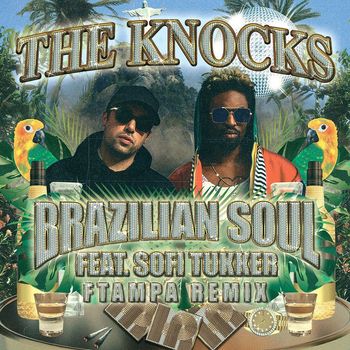 The Knocks - Brazilian Soul (feat. Sofi Tukker) (FTampa Remix)