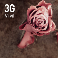 3g - Vi Vil