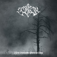 Sorhin - I Det Glimrande Mörkrets Djup