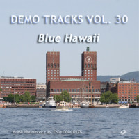 Norsk Noteservice Wind Orchestra - Vol. 30: Blue Hawaii - Demo Tracks