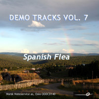 Norsk Noteservice Wind Orchestra - Vol. 7: Spanish Flea - Demo Tracks