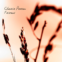 Charlie Persson - Fristad