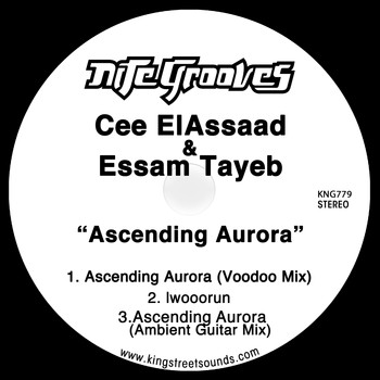 Cee ElAssaad & Essam Tayeb - Ascending Aurora