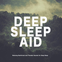 Deep Sleep Aid - Relaxing Rainforest and Thunder Sounds for Deep Sleep