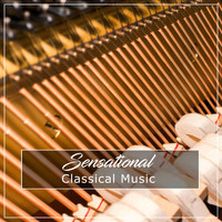 Piano Pianissimo, Exam Study Classical Music, Exam Study Classical Music Orchestra - #15 Sensational Classical Music