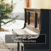 Piano for Studying, Relaxaing Chillout Music, Piano: Classical Relaxation - #20 Calm & Quiet Piano Favorites