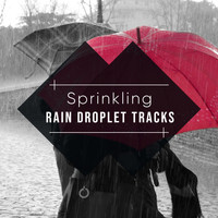 Sample Rain Library, Nature Recordings, Ambientalism - #15 Sprinkling Rain Droplet Tracks