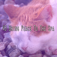 Dormir - 45 Bring Peace To The Spa