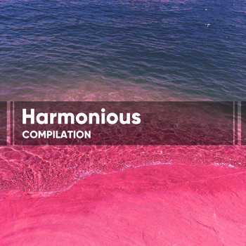 Namaste - Harmonious Compilation